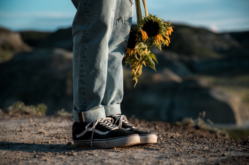 Softboy Aesthetic Vans Old Skool Sneakers