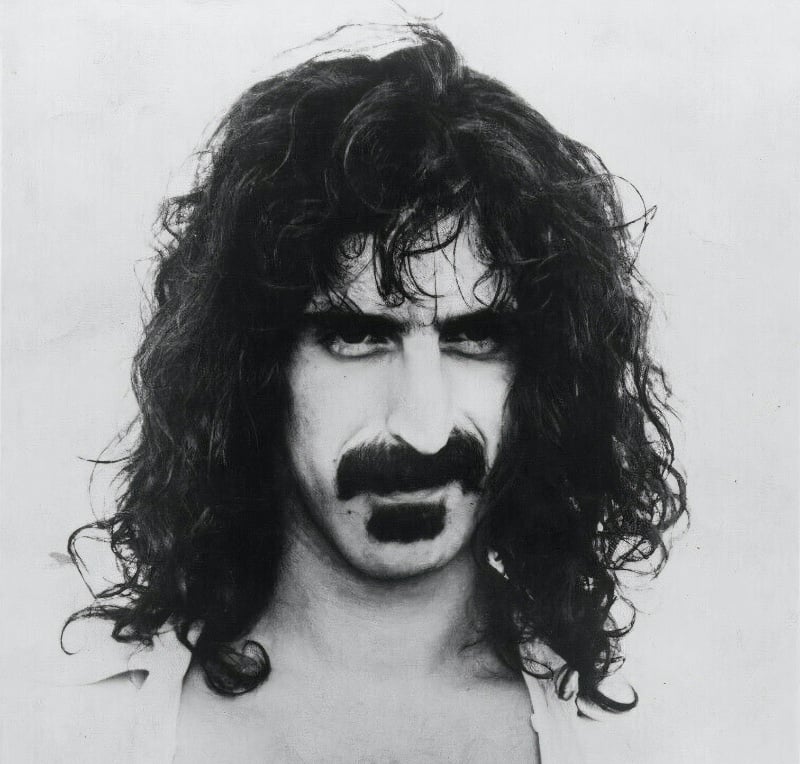 Frank Zappa Mustache