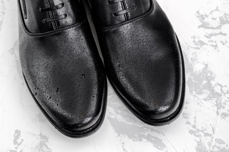 Leather Shoe Care Rain