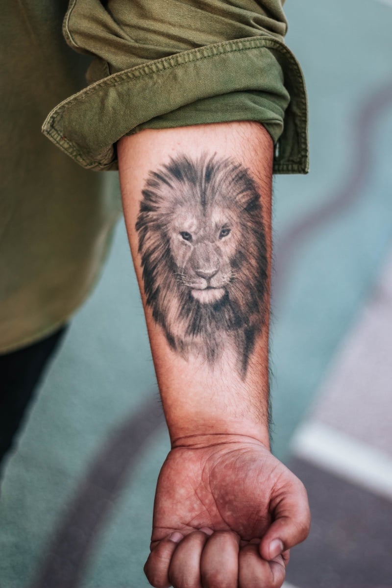 Lion Forearm Tattoo Men