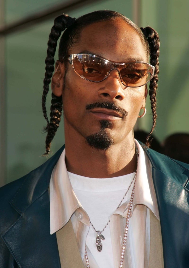 Snoop Dogg Twisted Braids Men