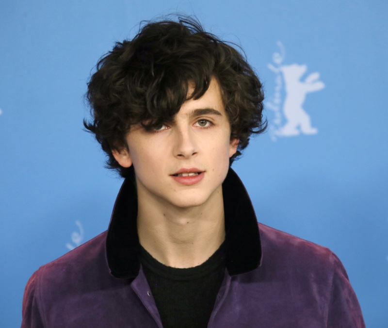 Timothée Chalamet 2017 Curls