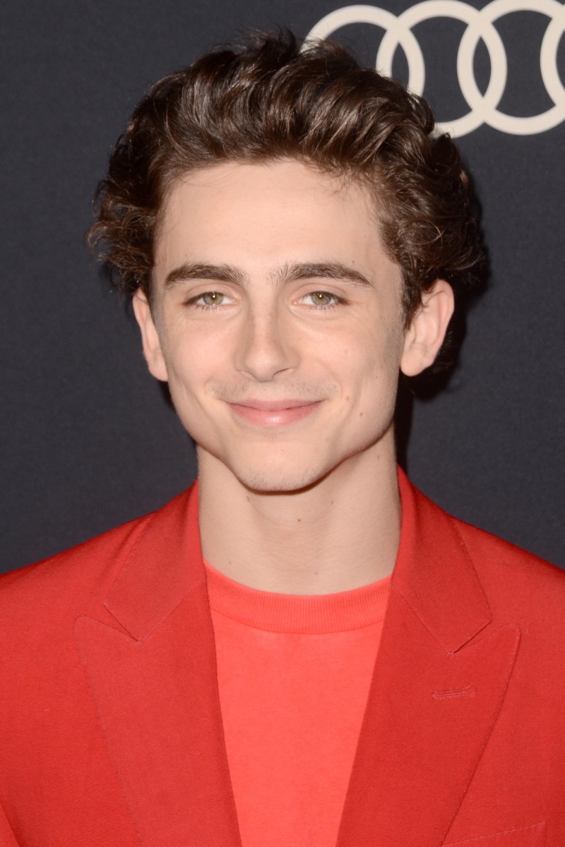 Timothée Chalamet 2018 Pompadour Hair