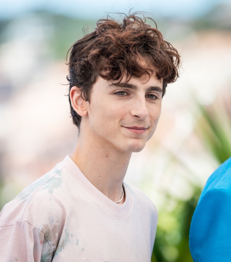 Timothée Chalamet 2021 Cannes Film Festival The French Dispatch Curly Hair
