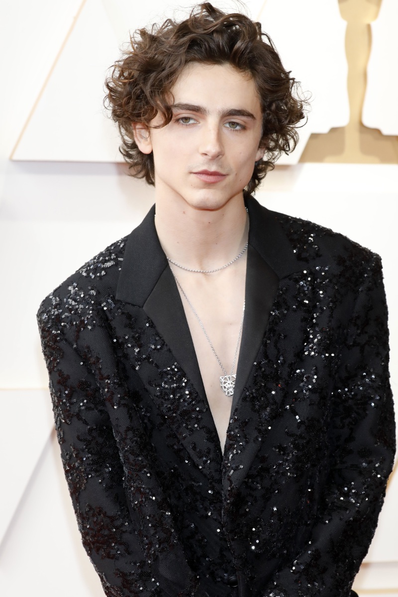 Timothée Chalamet 2022 Academy Awards