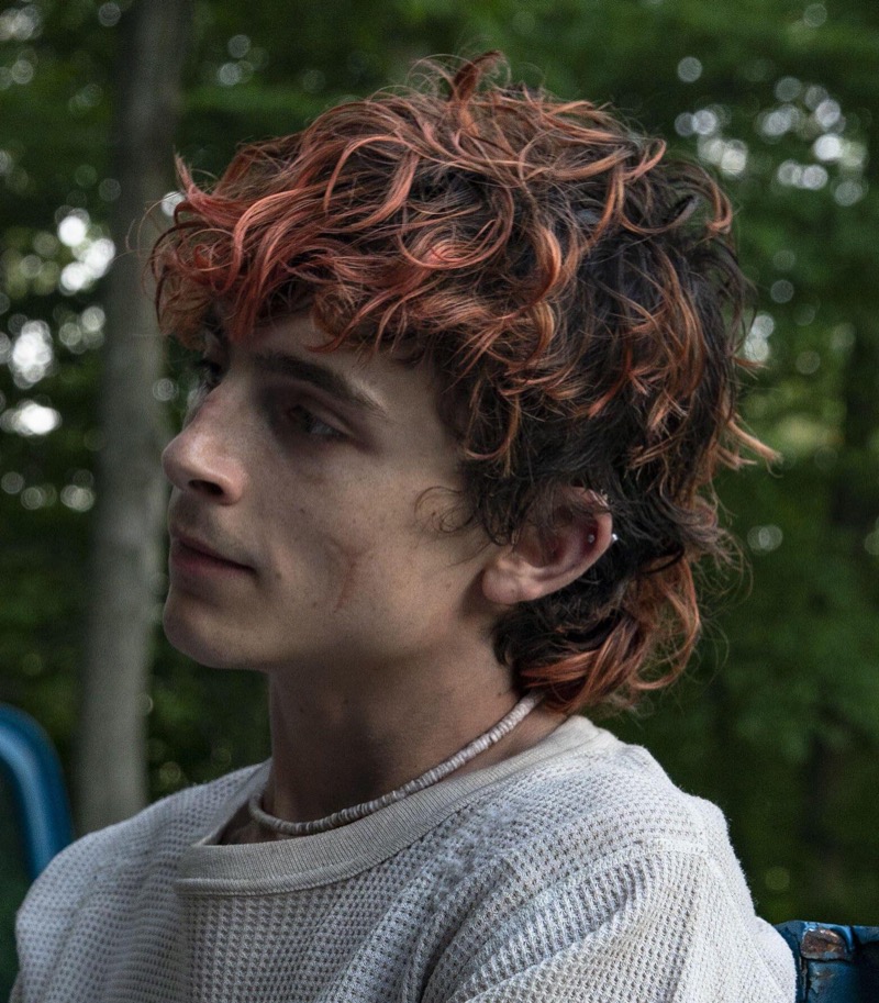 Timothée Chalamet Bones and All hair red mullet » Timothée Chalamet’s Hair: How to Get His Waves & Curls Style Timothée Chalamet Bones and All hair red mullet