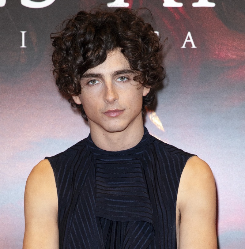 Timothée Chalamet Curly Hair 2022