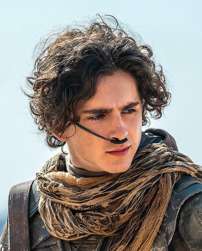 Timothée Chalamet Dune haircut » Timothée Chalamet’s Hair: How to Get His Waves & Curls Style Timothée Chalamet Dune haircut