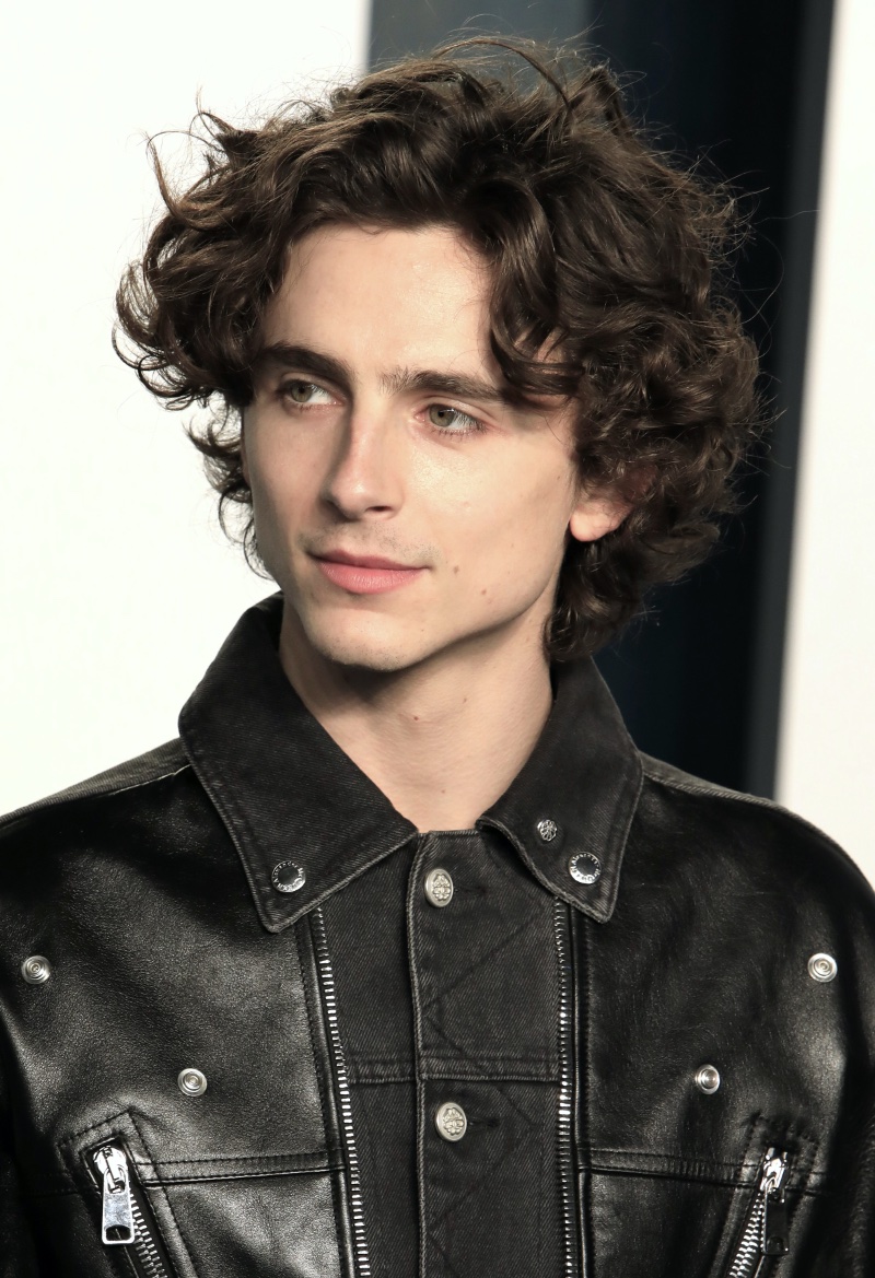 Timothée Chalamet Hair 2022