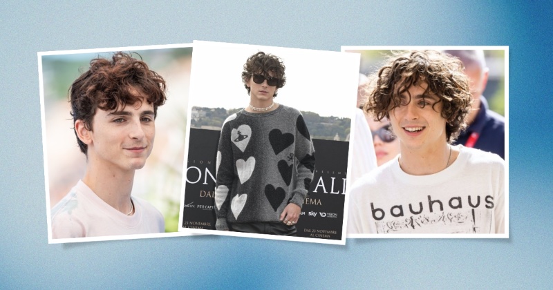 Timothée Chalamet Hair Short to Long