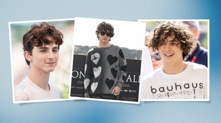 Timothée Chalamet Hair Short to Long Featured