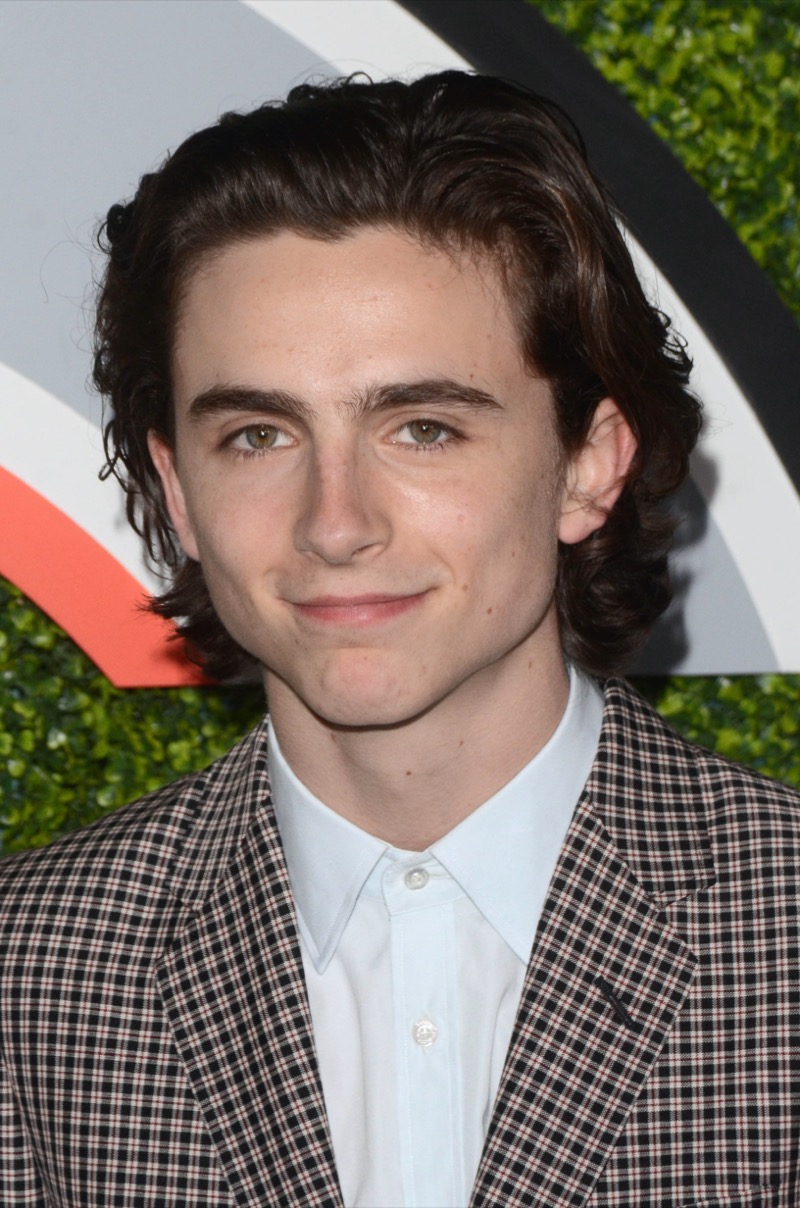 Timothée Chalamet long hair » Timothée Chalamet’s Hair: How to Get His Waves & Curls Style Timothée Chalamet long hair