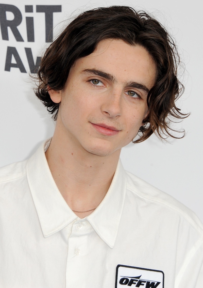 Timothée Chalamet Natural Waves 2018