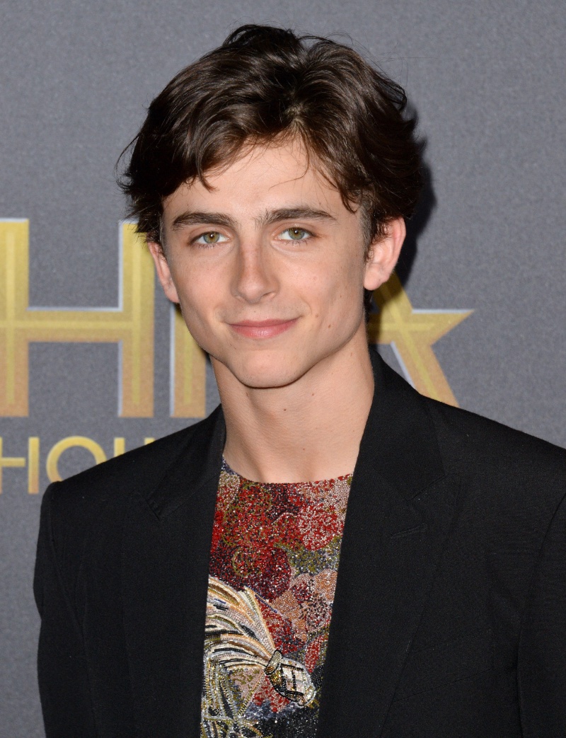 Timothée Chalamet Short Side-part Hair 2018 » Timothée Chalamet’s Top Hairstyles: Your Ultimate Guide Timothée Chalamet Short Side-part Hair 2018