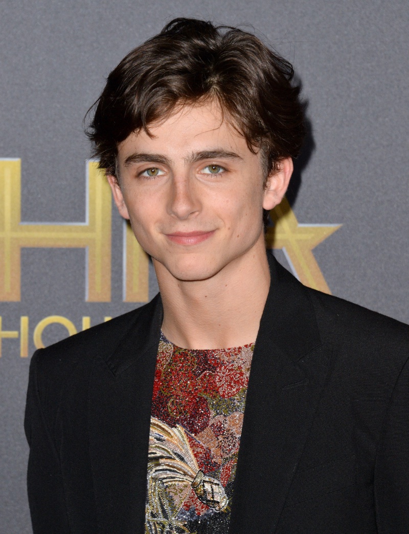 Timothée Chalamet Short Side-part Hair 2018