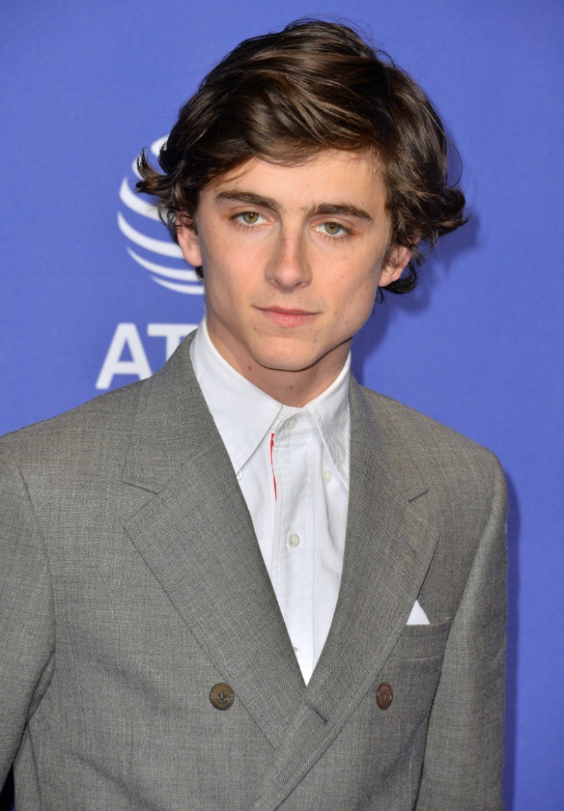 Timothée Chalamet Side Sweep Hair 2019