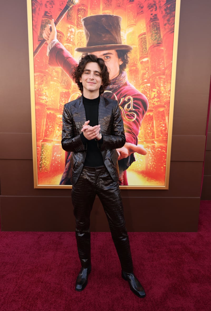 Timothée Chalamet exudes charisma in a Tom Ford croc-embossed suit at the Los Angeles premiere of Wonka.