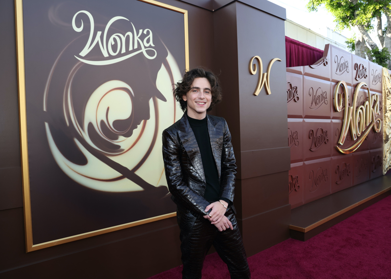 With a smile as golden as the Wonka lettering, Timothée Chalamet shines in Tom Ford at the film's premiere. 