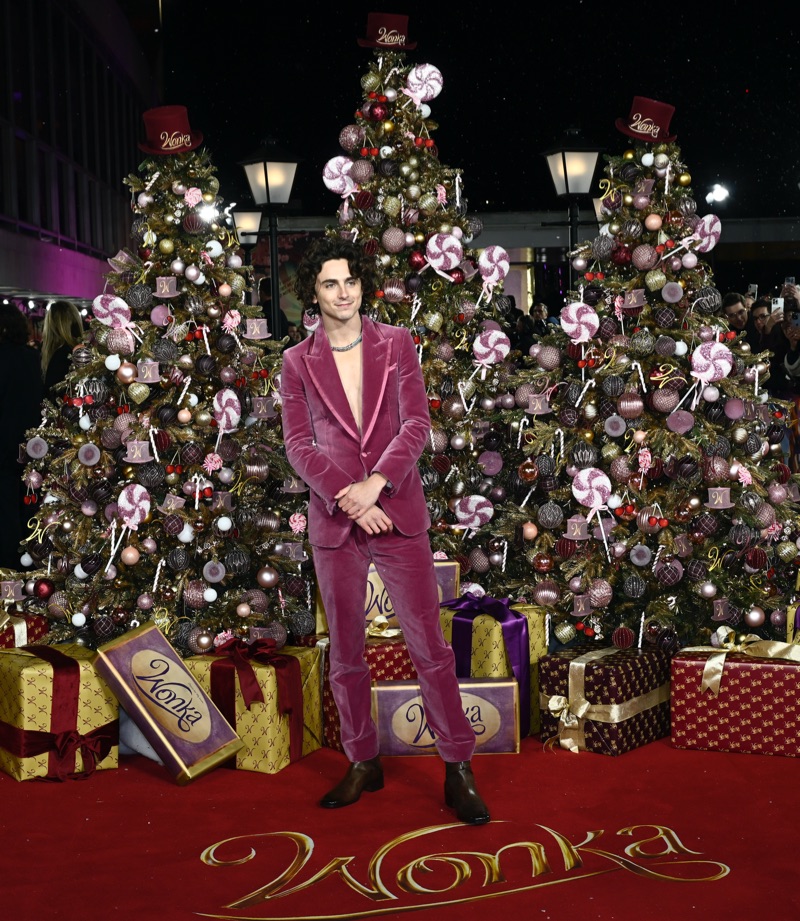 Amid a festive scene, Timothée Chalamet stands out in a velvet mauve Tom Ford tuxedo at the Wonka world premiere.