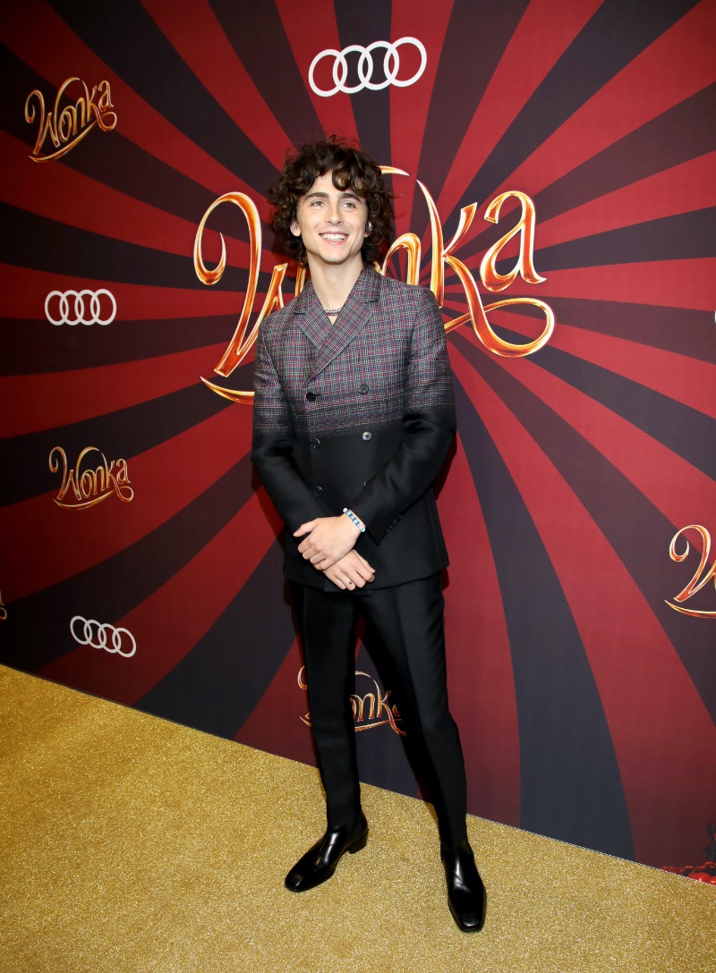 Timothée Chalamet wears Prada to a Toronto screening of Wonka.