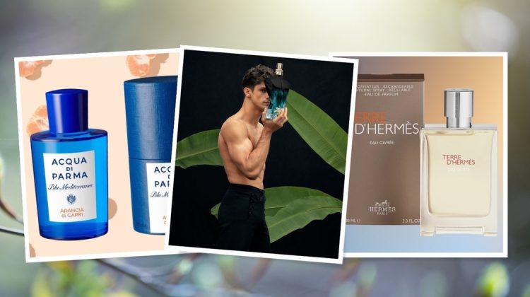 The Best Spring Colognes: From Citrus Zest to Woody Depths