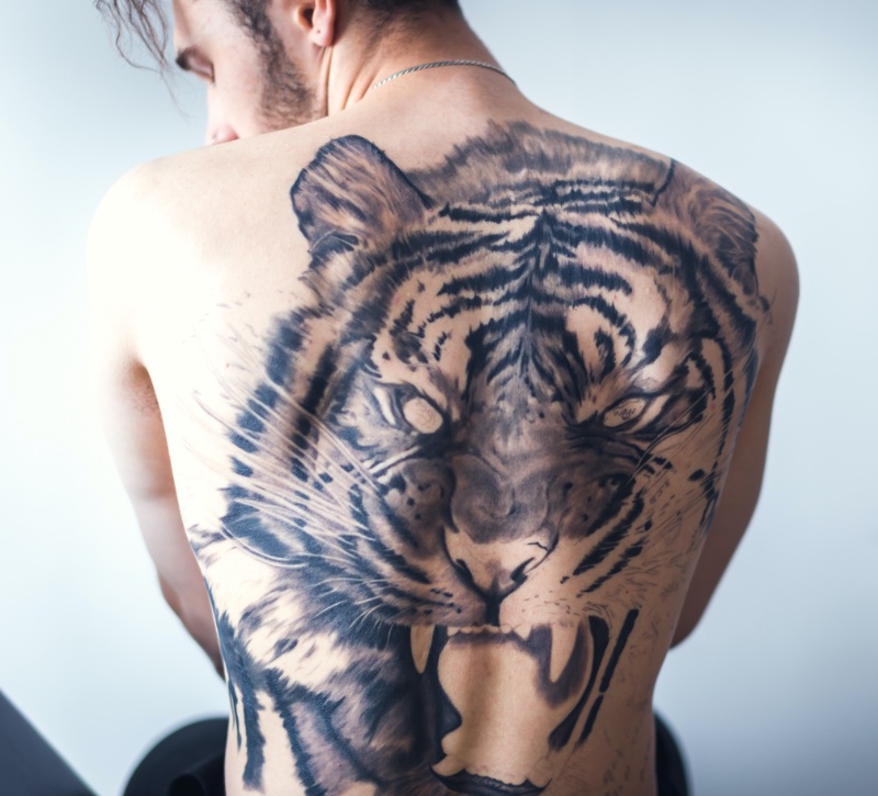 Tiger Back Tattoo Men