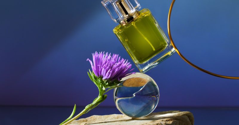 Fragrance Notes Featured