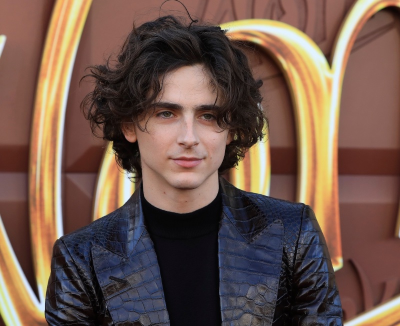 Timothee Chalamet Middle Part Hair