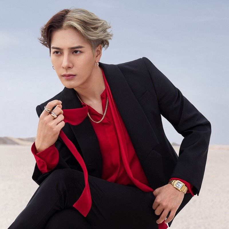 Jackson Wang captivates in the Cartier Trinity campaign.