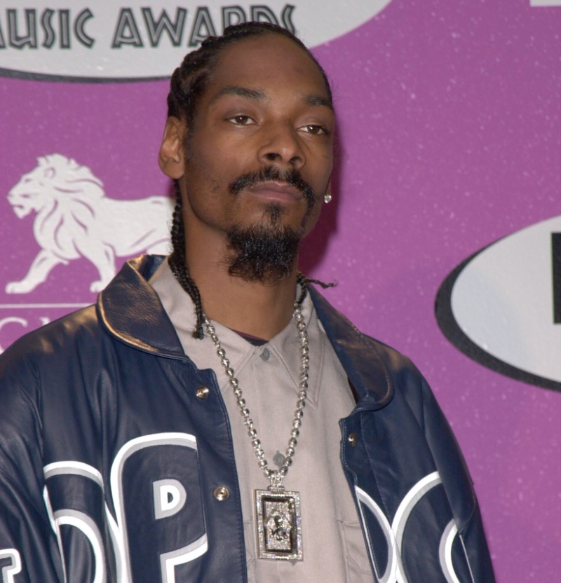 Cornrow Braids Snoop Dogg