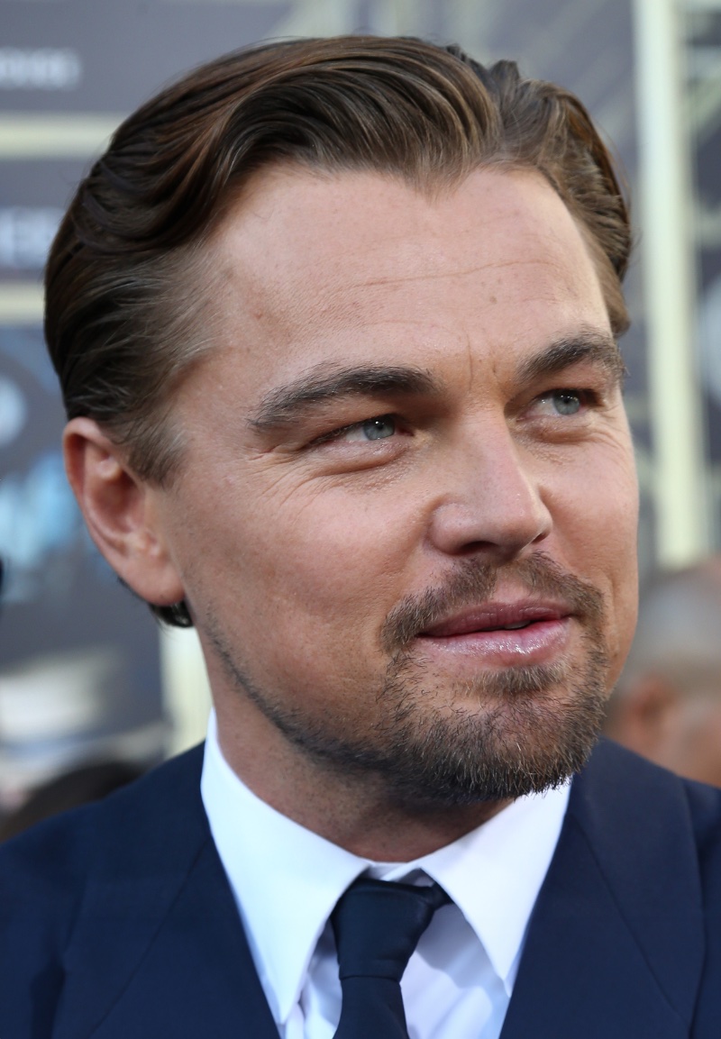 Hollywoodian Beard Leonardo DiCaprio