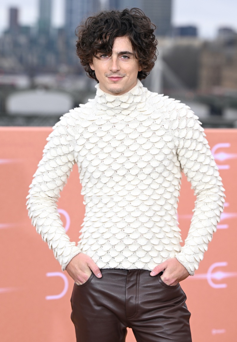 Timothee Chalamet Bottega Veneta London Dune Part Two Photocall