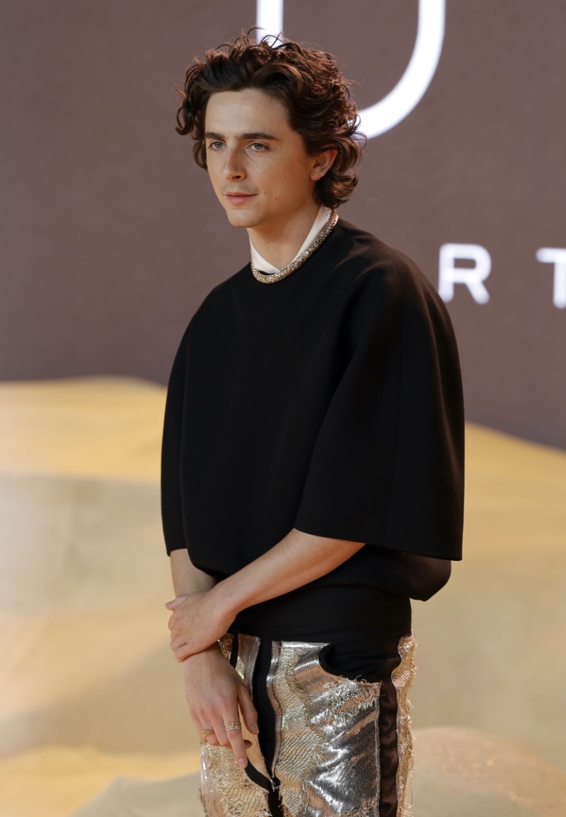 Timothee Chalamet Haider Ackermann Dune Part Two London Premiere 2024