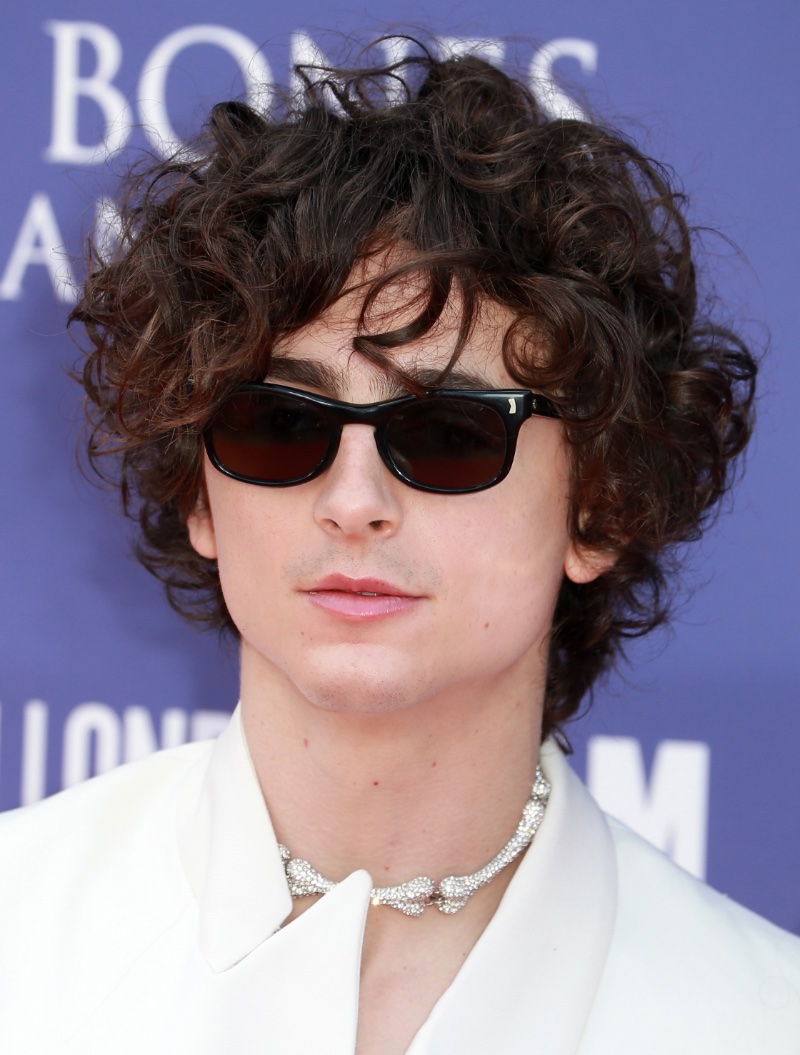 Timothée Chalamet Curly Hair