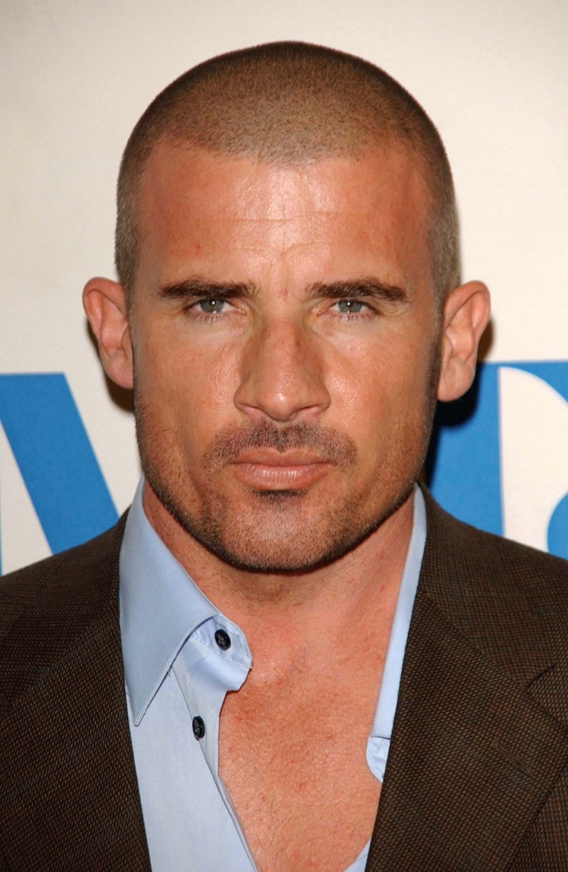 Dominic Purcell buzz cut