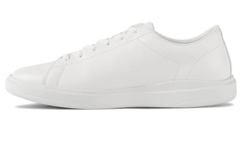 Amberjack The Low Top Sneaker