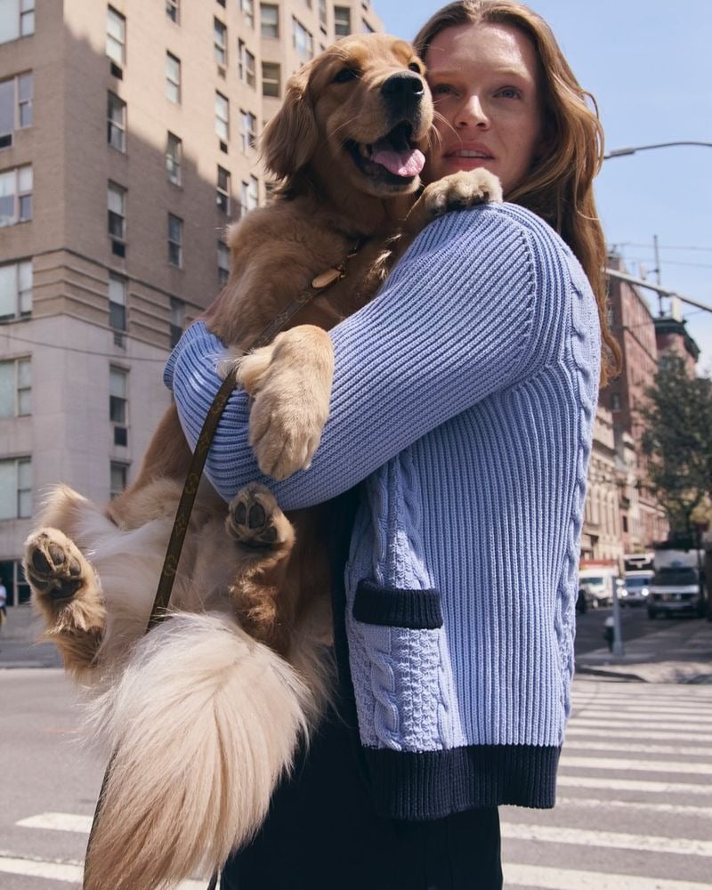 Luke Champion crosses a Manhattan intersection holding a golden retriever against his chest, wearing the powder blue cable-knit cardigan with navy trim and a Monogram-strap leash slung across his shoulder