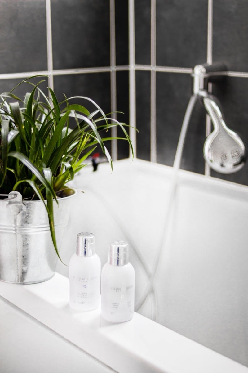 Shampoo and conditioner bottles on the edge of a bathtub beside a potted plant in a tiled bathroom