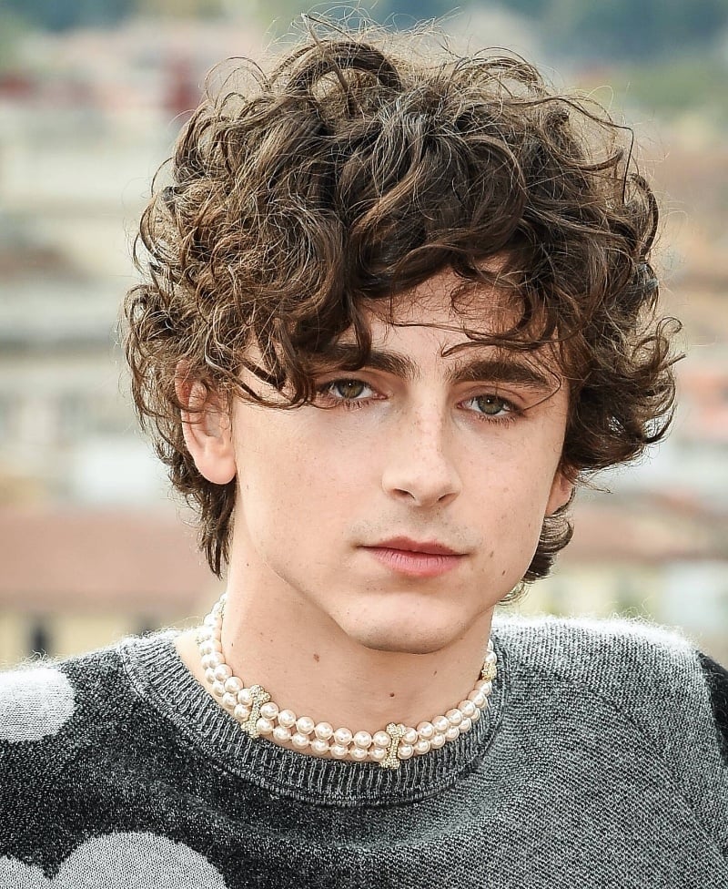 Timothée Chalamet wears layered pearls above a patterned sweater.