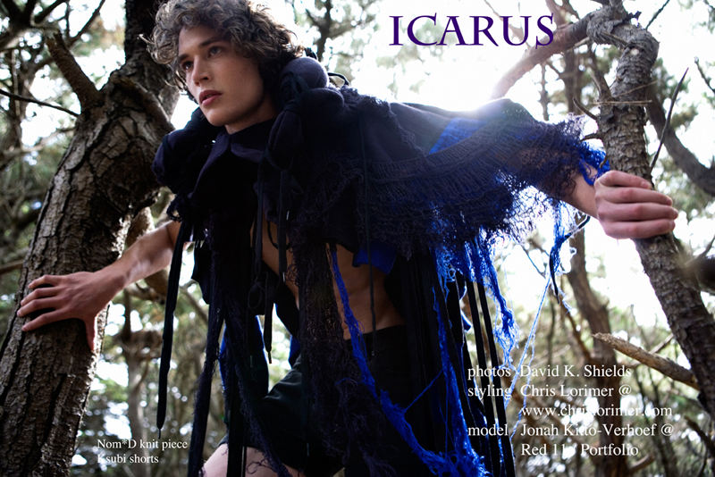 icarus12