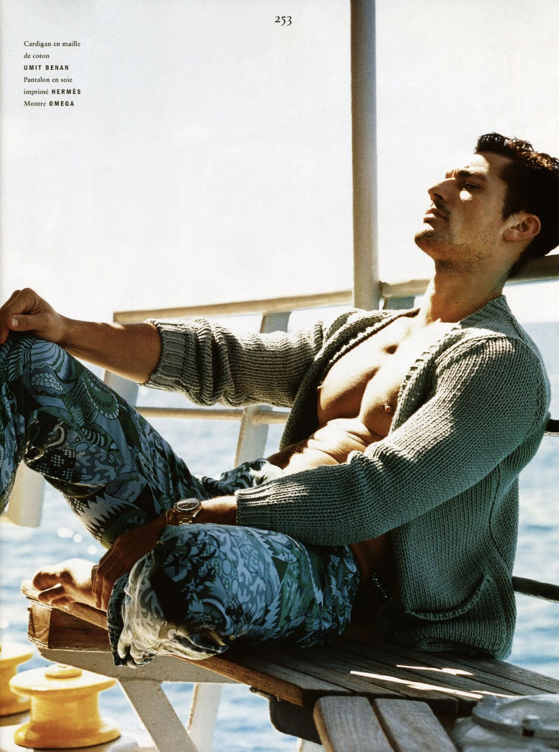 davidgandy vhi4